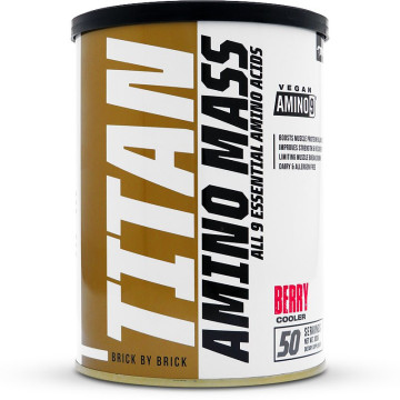 Titan Nutrition Amino Mass