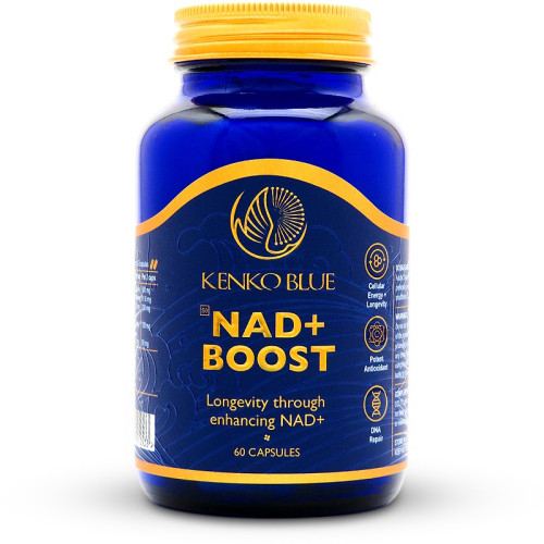 Kenko Blue NAD+ Boost