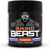 USN Amino Beast